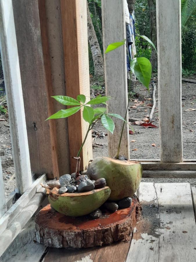 Casa Manati Ξενοδοχείο Lívingston Εξωτερικό φωτογραφία